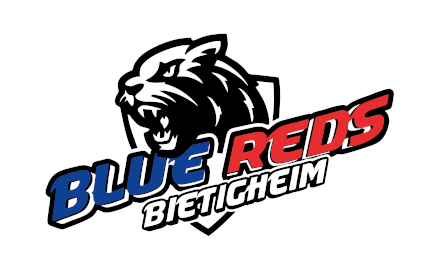 Förderverein Blue Reds Bietigheim e.V. – Fanclub der SG BBM Bietigheim